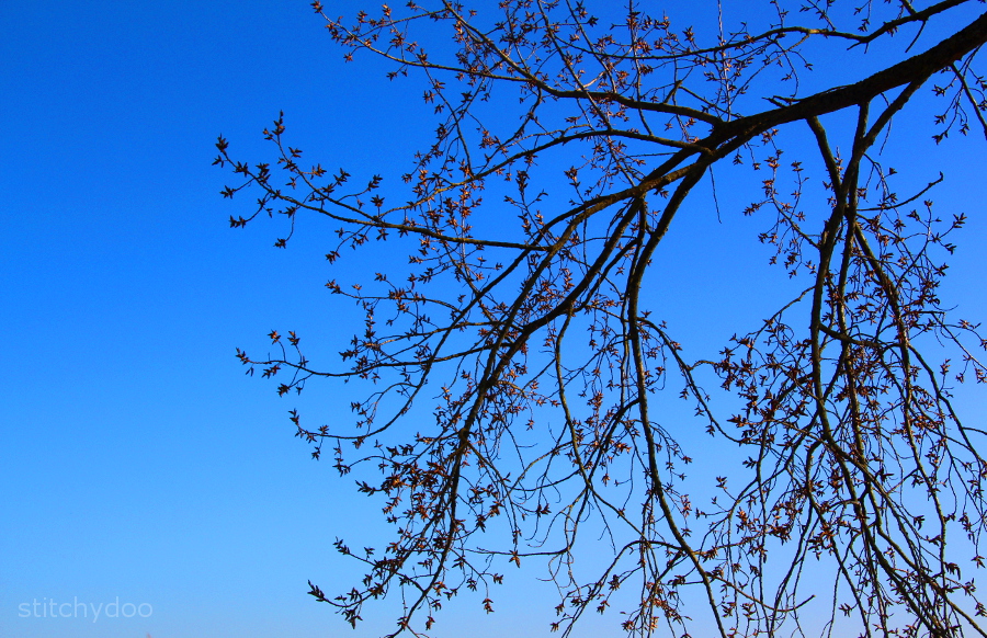 Hallo Frühling 2014